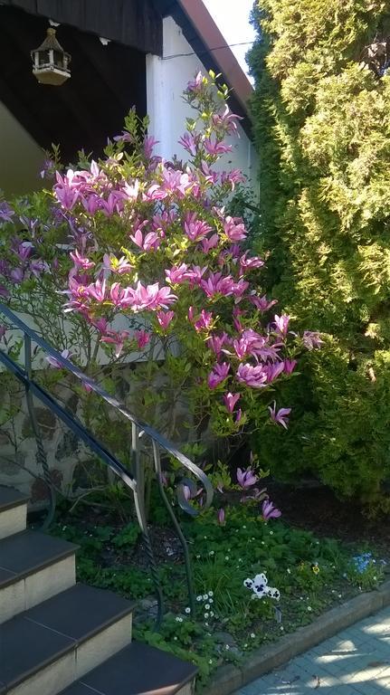 Holiday Villa Zuromino Bagian luar foto