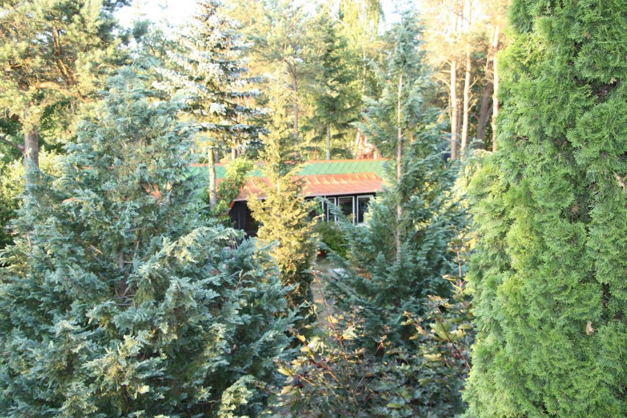 Holiday Villa Zuromino Bagian luar foto